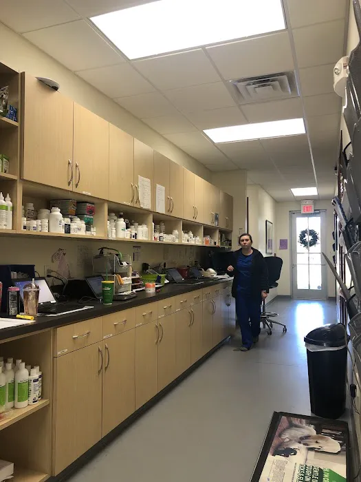 Rocky Point Animal Hospital Picture 4
