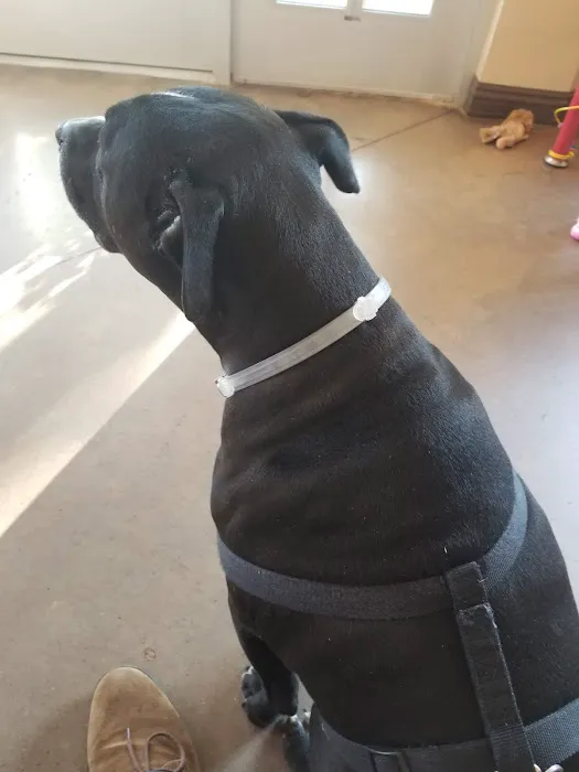 Rocky Point Animal Hospital Picture 7