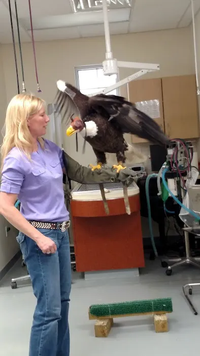 Rocky Point Animal Hospital Picture 5