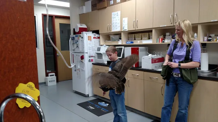 Rocky Point Animal Hospital Picture 3