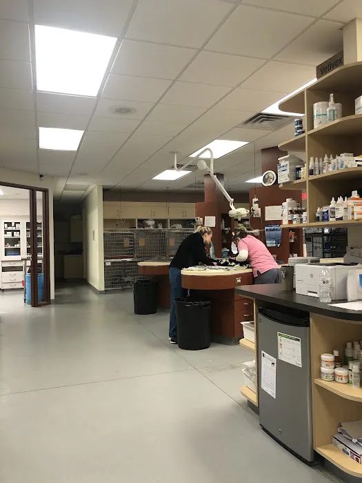 Rocky Point Animal Hospital Picture 1