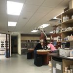 Rocky Point Animal Hospital