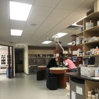 Rocky Point Animal Hospital ico