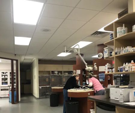 Rocky Point Animal Hospital
