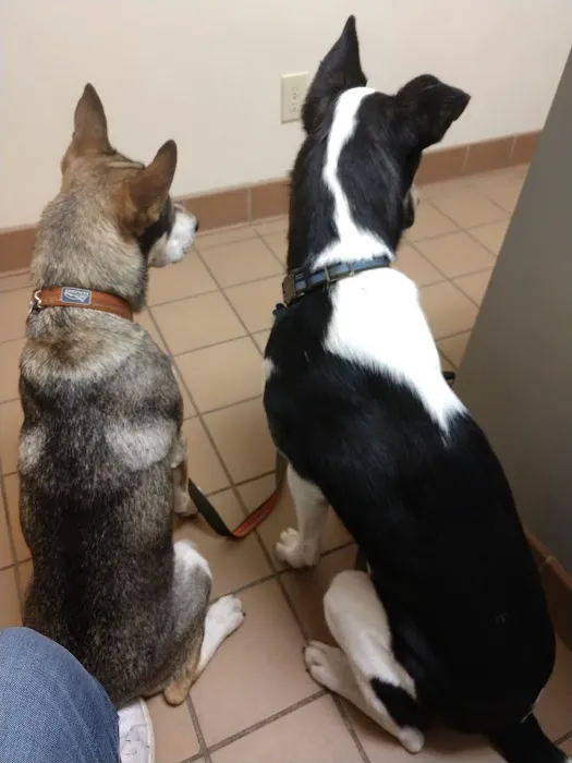 North College Road Animal Hospital Picture 3