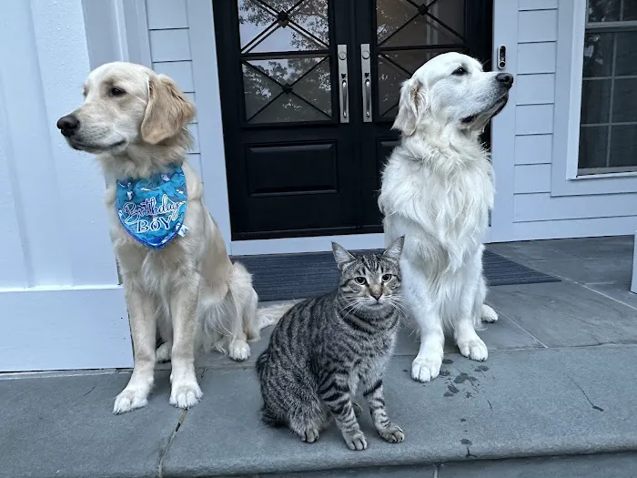 Topsail Animal Hospital Picture 8