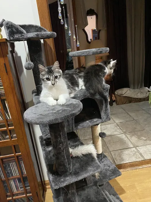 Topsail Animal Hospital Picture 4