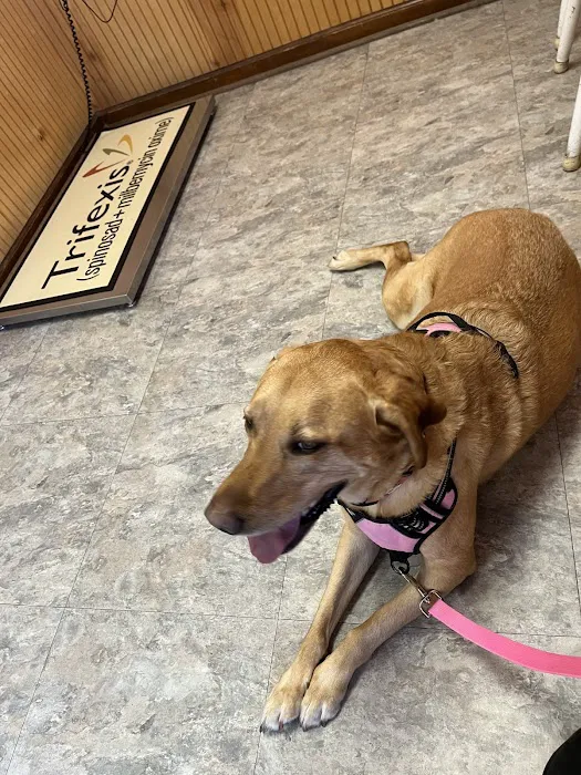 Topsail Animal Hospital Picture 5