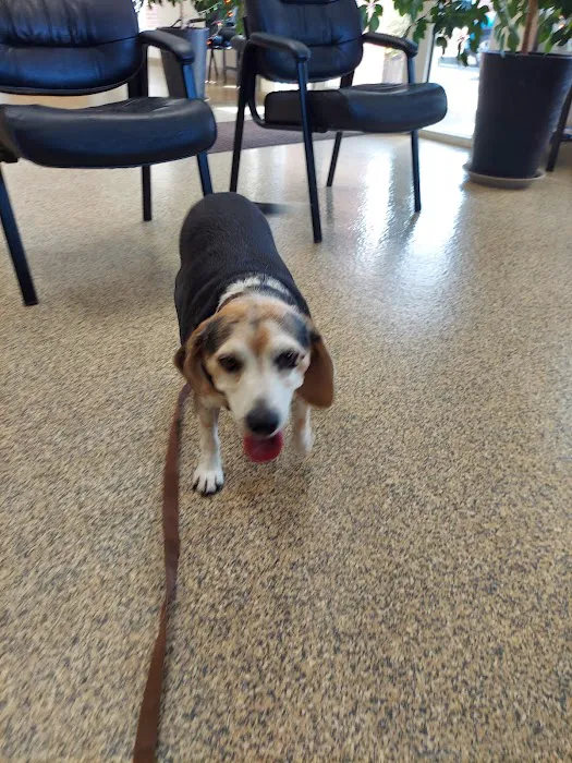 Hampstead Animal Hospital Picture 10