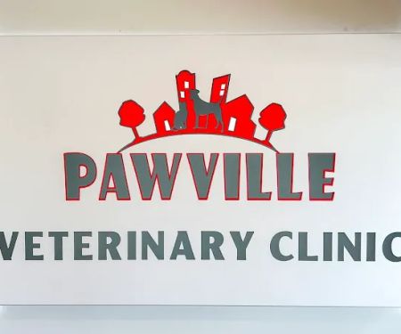 Paw Springs Veterinary Hospital - Scotts Hill