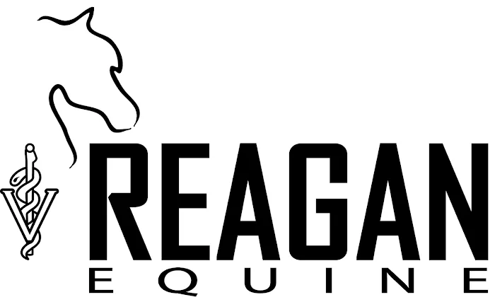 Reagan Equine Picture 8