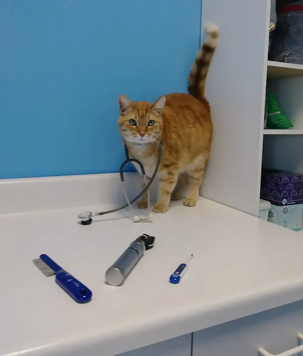 Oak Crest Animal Hospital Picture 1