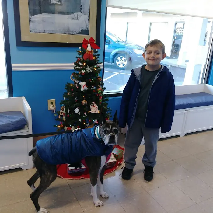 Oak Crest Animal Hospital Picture 7