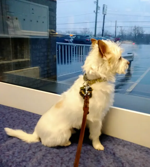 Oak Crest Animal Hospital Picture 9