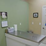 Animal Clinic Leestown Road