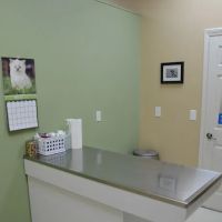 Animal Clinic Leestown Road ico