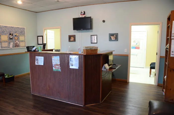 Animal Clinic Leestown Road Picture 2