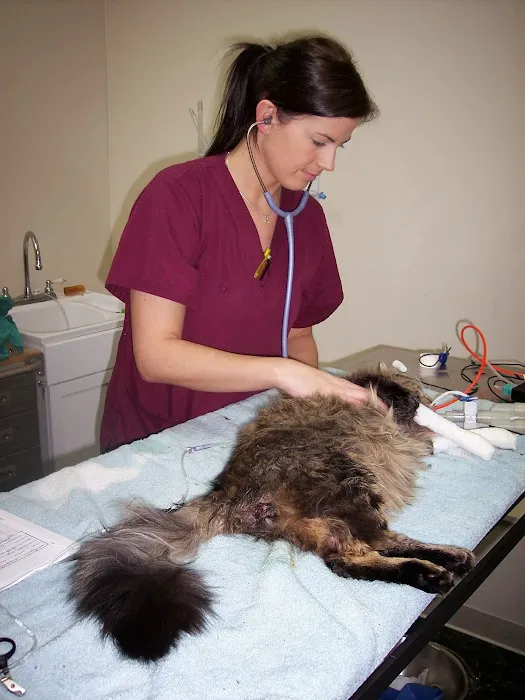 Animal Clinic Leestown Road Picture 4