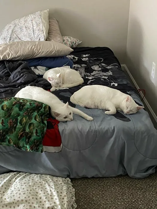 Commonwealth Animal Care Picture 1