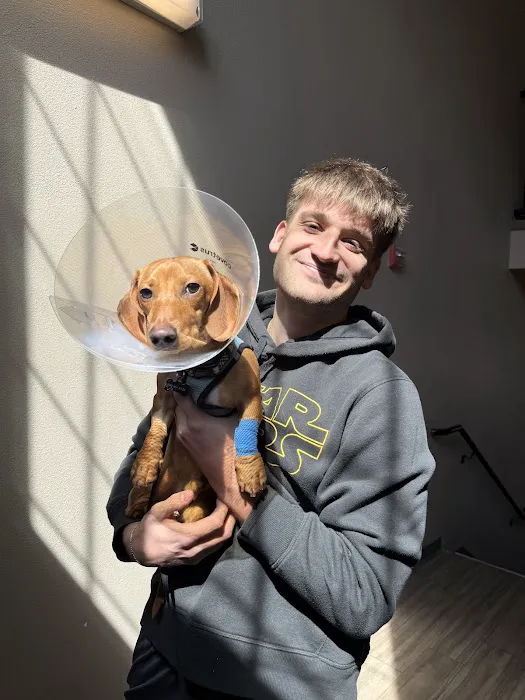 Commonwealth Animal Care Picture 4