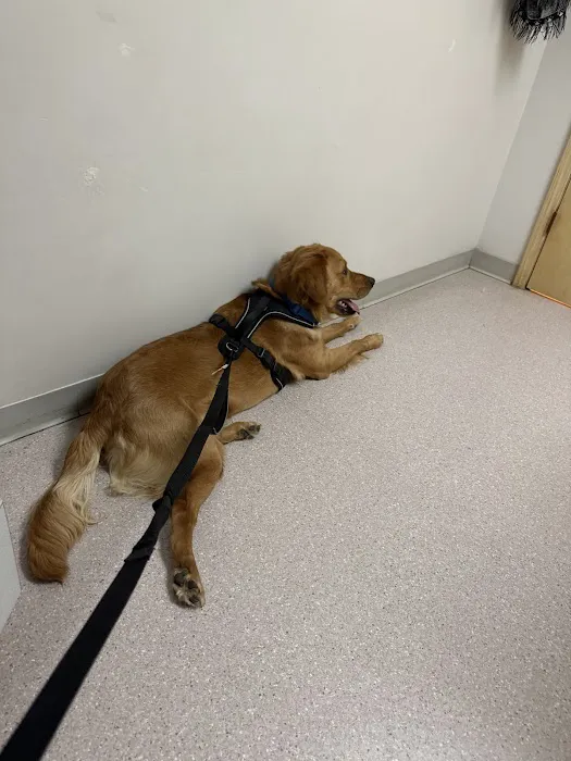 Broadway Veterinary Clinic Picture 1