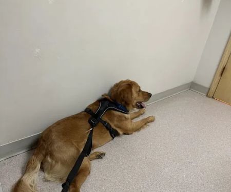 Broadway Veterinary Clinic