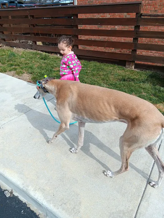 Broadway Veterinary Clinic Picture 4