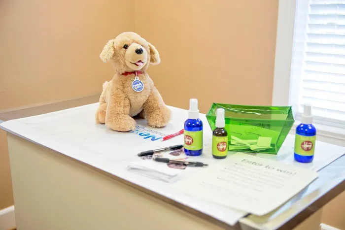 Village Animal Hospital Picture 1