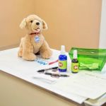 Village Animal Hospital