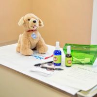 Village Animal Hospital ico