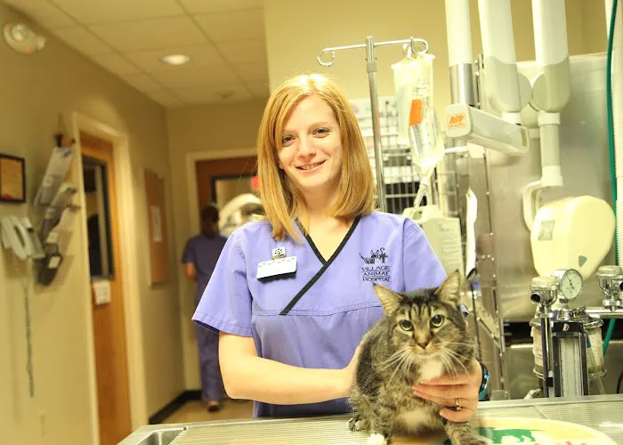 Village Animal Hospital Picture 5