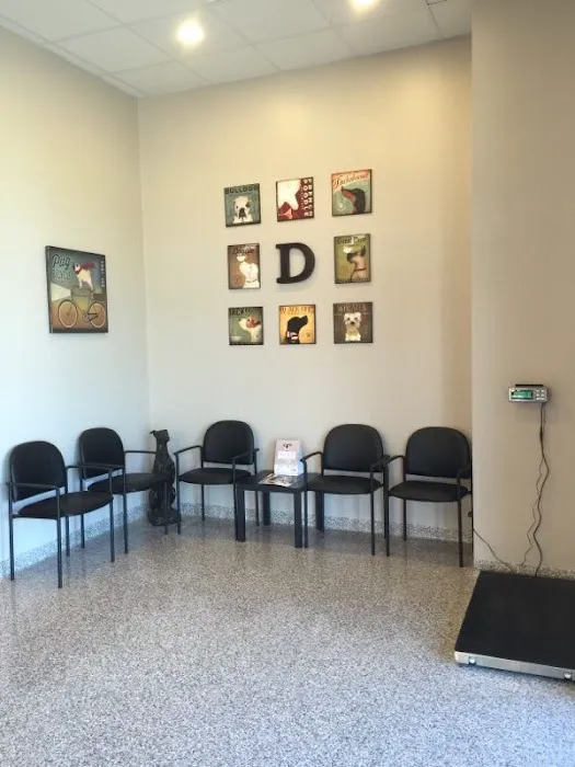 The Pet Wellness Group: Hebron Picture 5