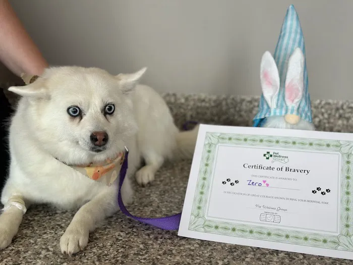 The Pet Wellness Group: Hebron Picture 9
