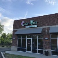 The Cat Vet of Hebron ico