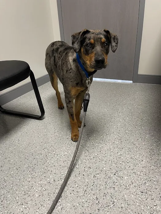 Tri Point Veterinary Clinic Picture 5