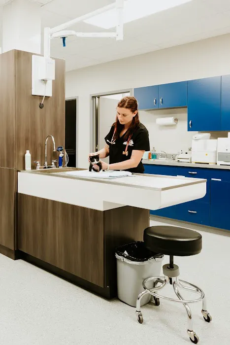 Tri Point Veterinary Clinic Picture 8