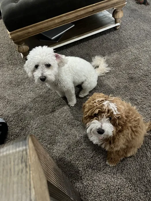 Tri Point Veterinary Clinic Picture 6