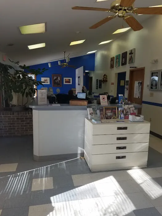 Burlington Pet Hospital Picture 7