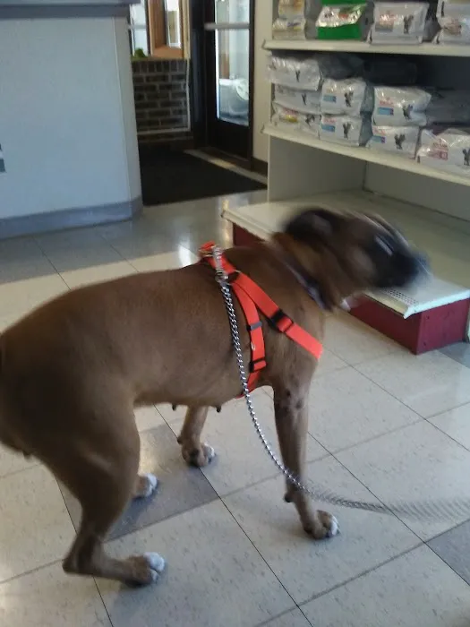 Burlington Pet Hospital Picture 4