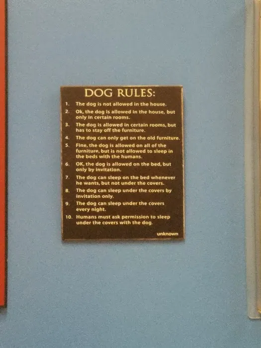 Burlington Pet Hospital Picture 10