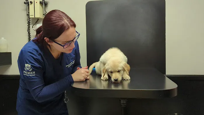 Gainesway Small Animal Clinic Picture 3