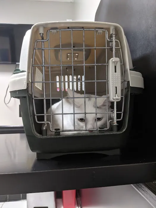 Gainesway Small Animal Clinic Picture 2
