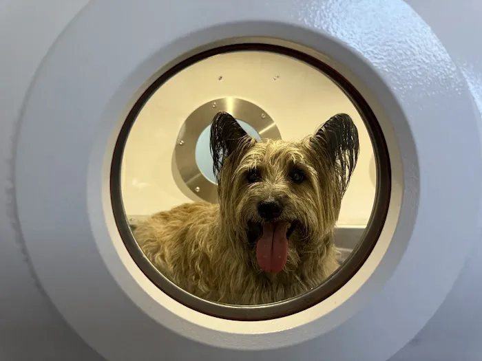 Lexington Veterinary Rehabilitation Picture 3