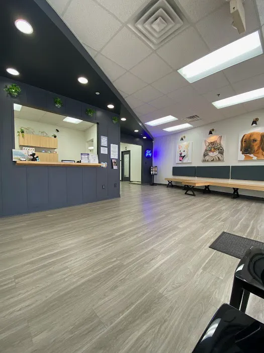 Blue Paw Primary Pet Care Picture 9