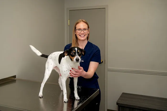 Tates Creek Animal Hospital Picture 10