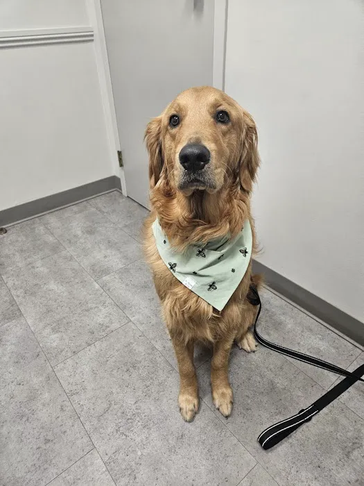 Tates Creek Animal Hospital Picture 5