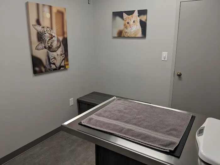 Tates Creek Animal Hospital Picture 6