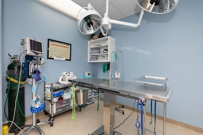 Hartland Park Animal Hospital Picture 2