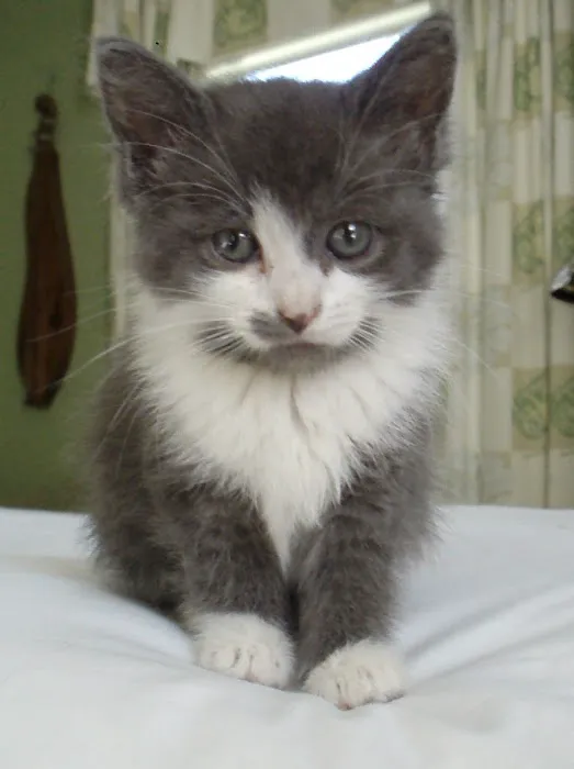 Southland Veterinary Hospital Picture 8