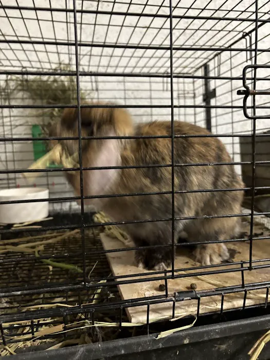 Pennyroyal Small & Exotic Animal Hospital Picture 2